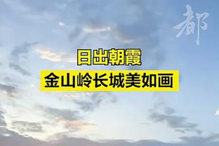 前裁判：达洛特的界外球误判并不明显，努涅斯讽刺裁判？我说不清